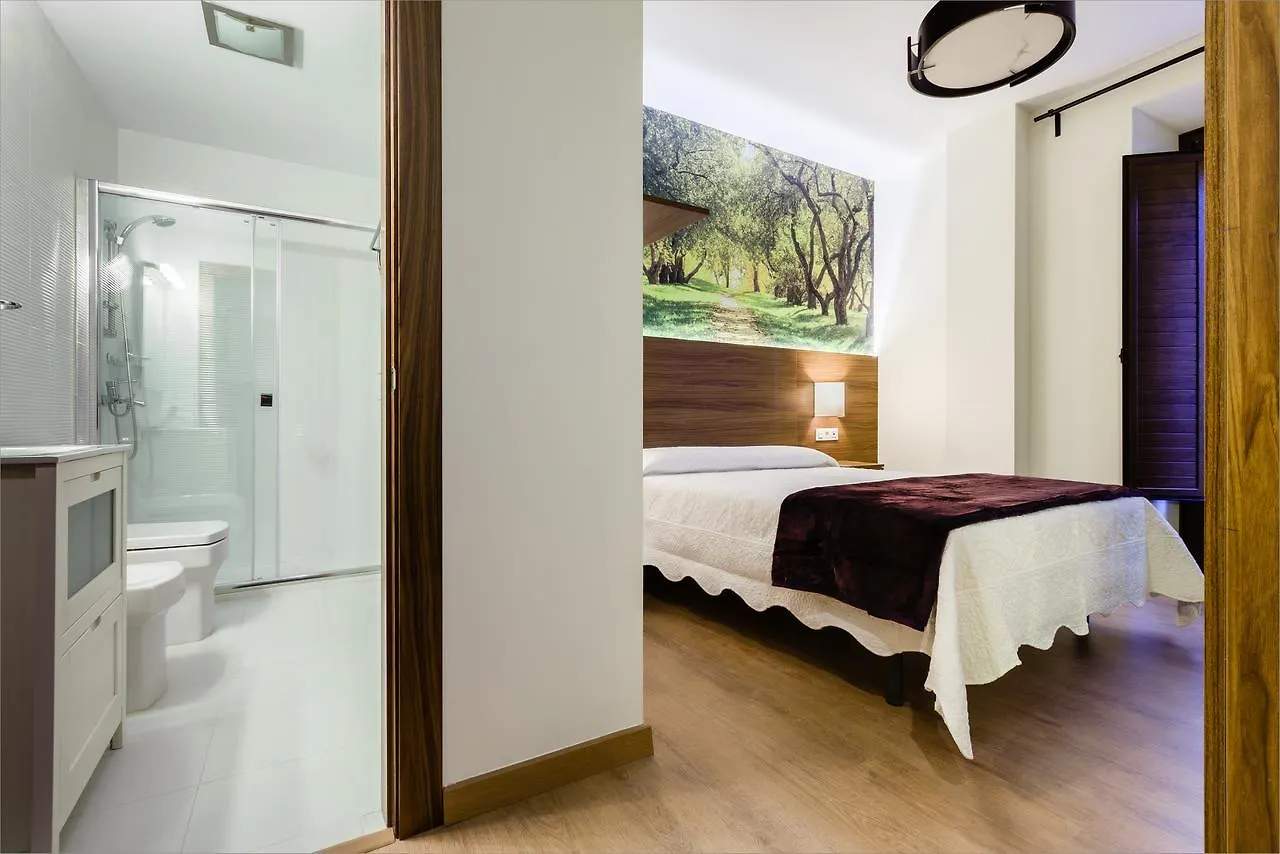 *** Hotel Hostal Arriola Granada Spain